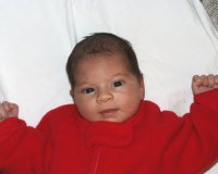 gal07.jpg (3034 bytes)